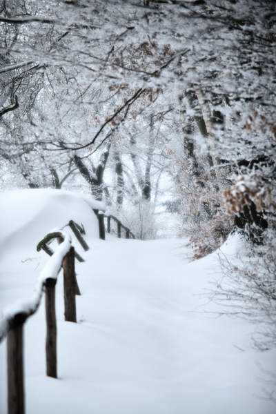 Angeschneiter Winterweg