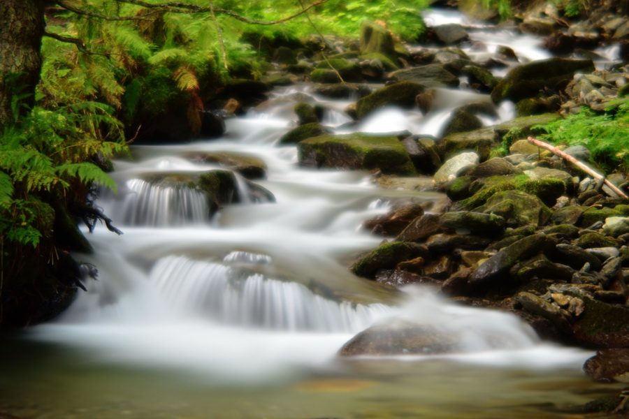 Wild creek rapids along Mariensee