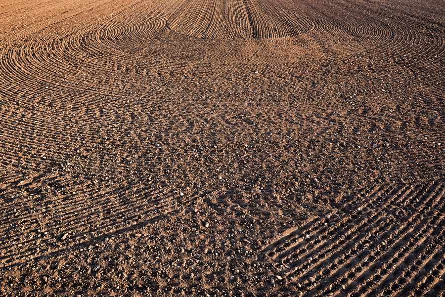 Furrows in the field